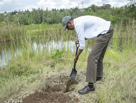 Image result for Alien Removal