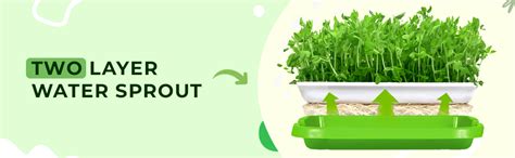 Harvest House Germination Plastic Tray (Pack of 100) | Hydroponics ...
