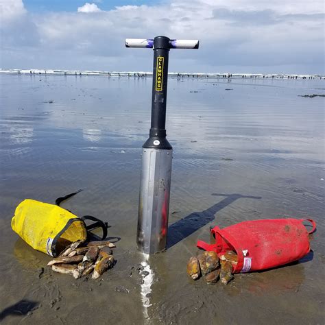 Image result for Razor Clam Digging