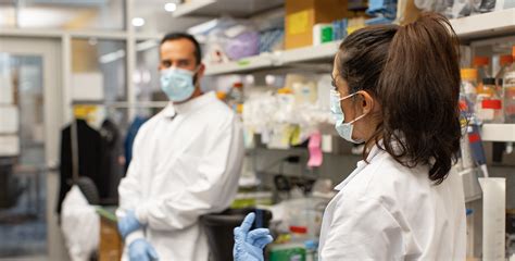 Focus Areas | Stanford Center for Digital Health