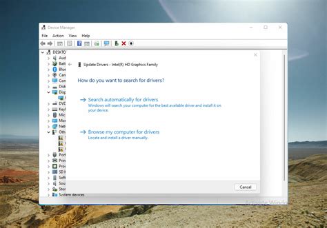 D3D Compatible GPU 的图像结果