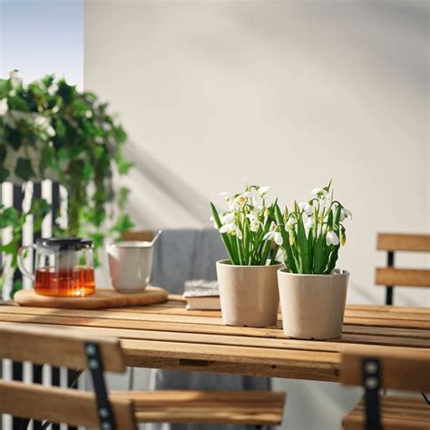FEJKA artificial potted plant, in/outdoor/snowdrop white, 9 cm (3 ½ ...