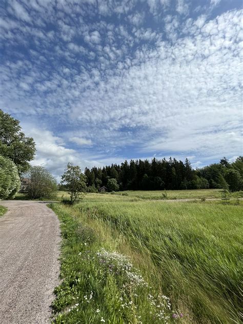 Jukka Partanen on Twitter: "Fuel for my workouts, walks and #running ...