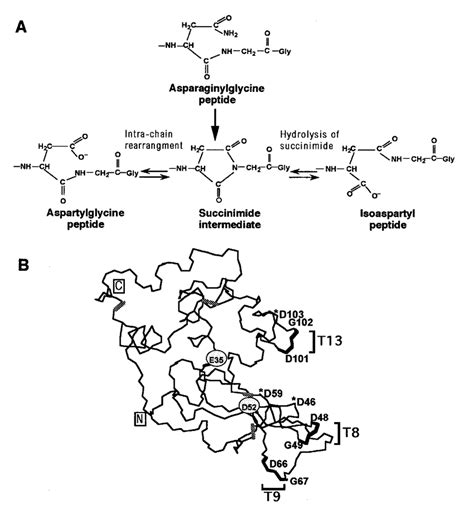 Image result for Random Science Computer Image