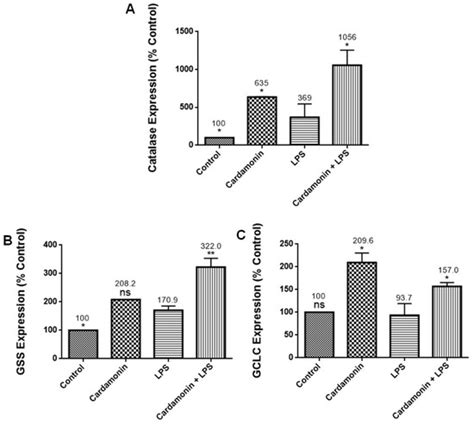 Antioxidant and Anti-Inflammatory Mechanisms of Cardamonin through Nrf2 ...