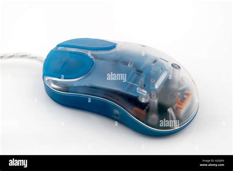 Computer Mouse Transparent 的图像结果