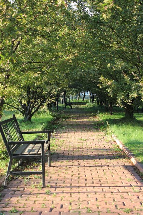 Walk Path 的图像结果