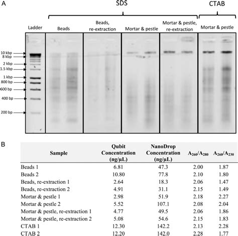 How to Process a DNA Sample 的图像结果