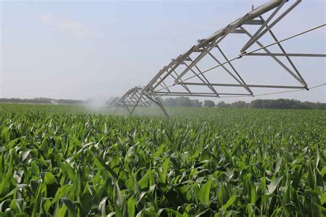 Image result for Fertigation Planting