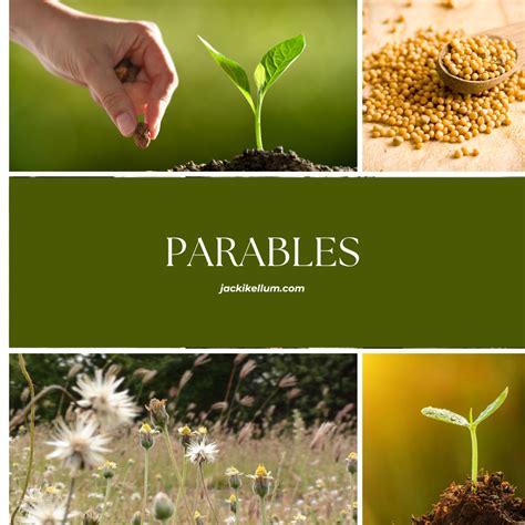 What is a Parable? A List of Parables in the Bible - Jacki Kellum