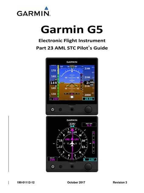 Flying Instrument Approach Using G5 的图像结果