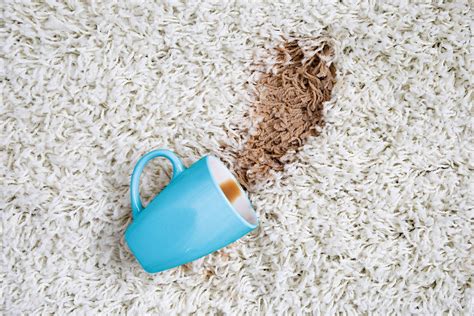 How To Get Old Coffee Stains Out Of Light Colored Carpet ...