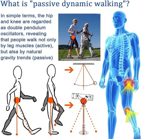 DUANWUS Both Legs Bionic Body Power Walking Aid Leg India | Ubuy