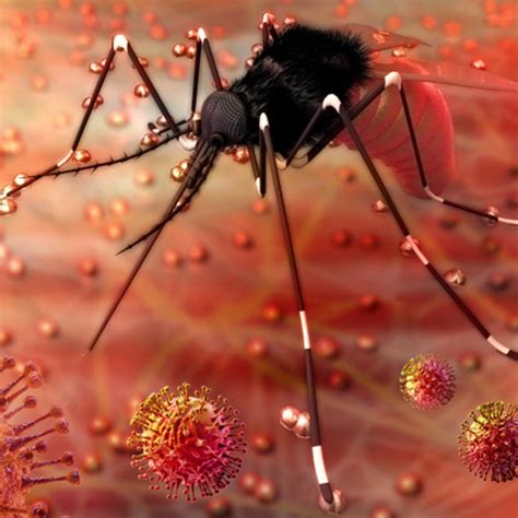 Is it true that Zika cases has been seen and observed in India?