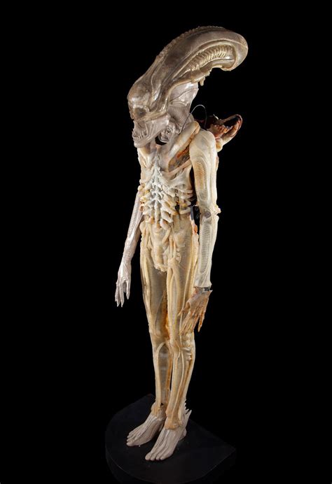 Image result for Alien Props