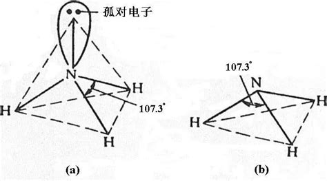 NH3分子间的氢键_火花学院