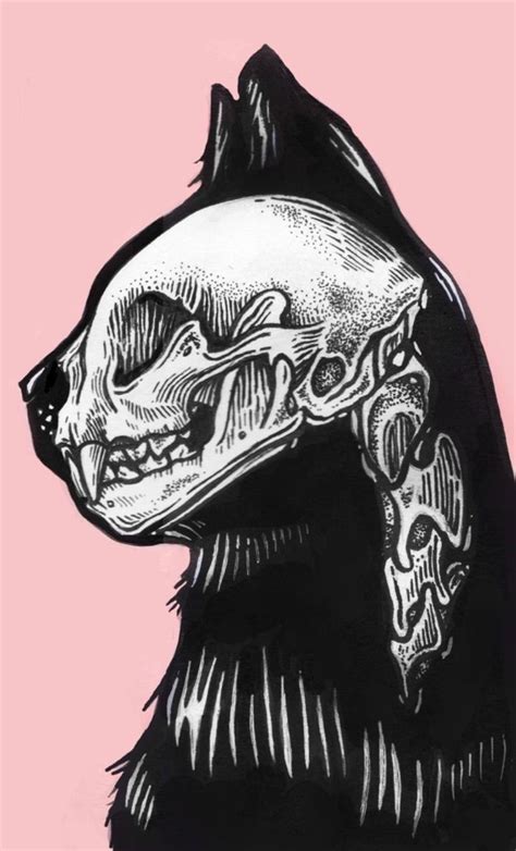 cat skull illustration