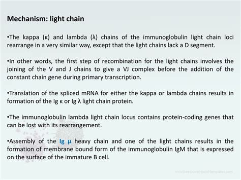 PPT - Lymphocyte development and activation PowerPoint Presentation, free download - ID:9238095