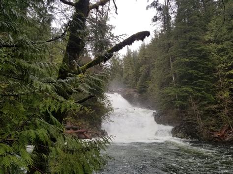 PORT RENFREW ADVENTURE COMPANY (2026) All You Need to Know BEFORE You ...