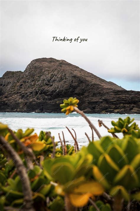 Premium Photo | Thinking of you text over image to represent the feeling of longing