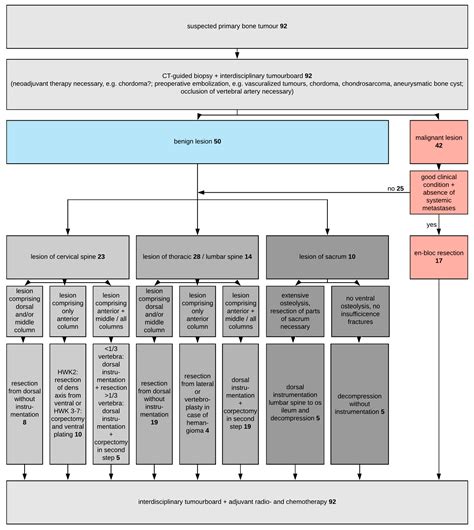Primary Bone Tumors of the Spine—Proposal for Treatment Based on a ...