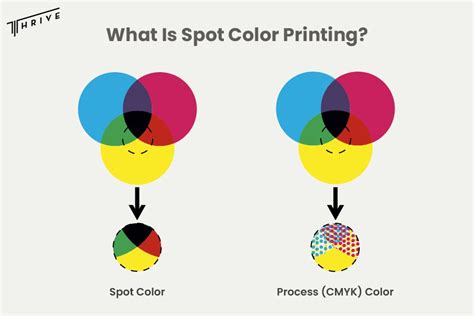 Image result for Spot Color Design