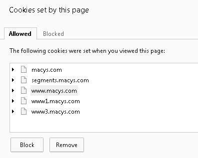 Image result for Computer Cookies Example
