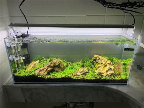 My Little Ten Gallon Long R/PlantedTank, 44% OFF