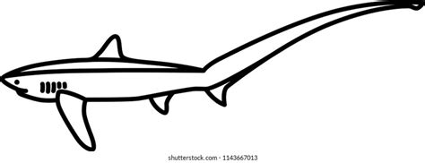 Shark Evolution Script 的图像结果