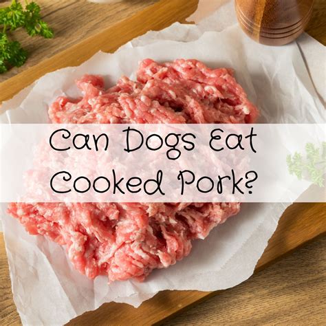 Can Dogs Eat Cooked Pork?