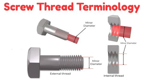 Image result for Parallel Threads Anatomy