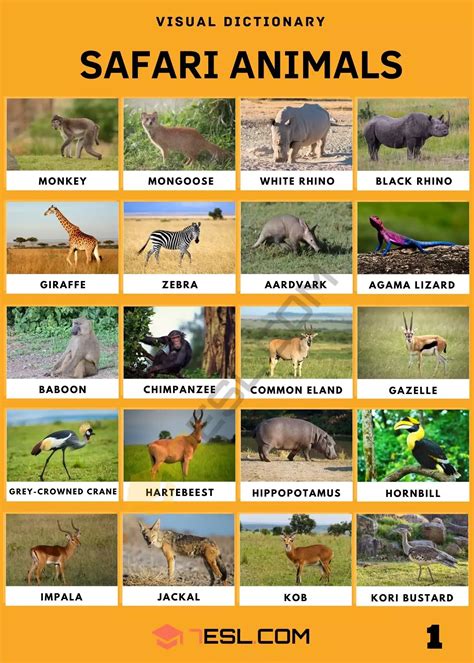 Safari Animals: List of Awesome Safari Animals with Facts