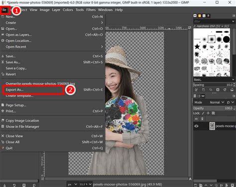 GIMP Transparent Mask 的图像结果