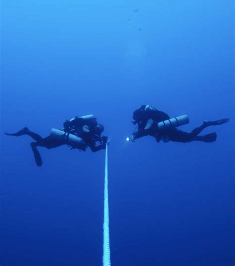 Dive Gear Express Hours at Rosie Halsey blog