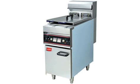 Deep Fat Fryer Machine Manufacturer and Suppliers in India