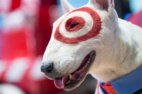Image result for Target Training for Dogs
