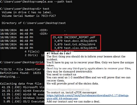 Ymir Ransomware: A New Breed of Memory-Based Attacks Targeting ...