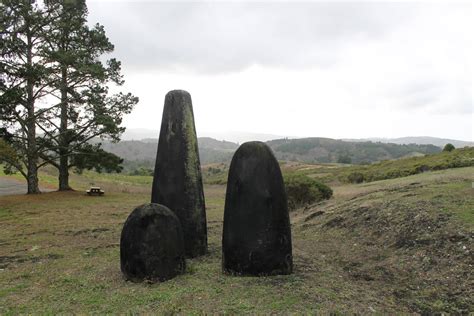 Djerassi Resident Artists Program | Three Hills - Djerassi Resident ...