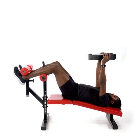 EZ Bar Curl - Trainwell (formerly CoPilot)