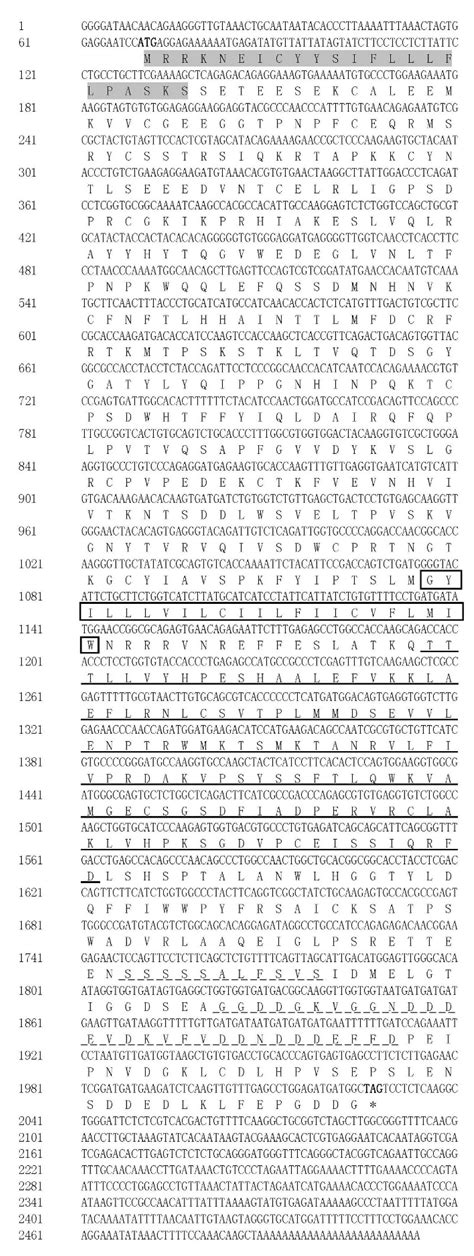 Identification of a Putative CFSH Receptor Inhibiting IAG Expression in ...