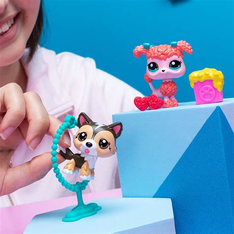 Jump n' Joy Pet Pair - Littlest Pet Shop