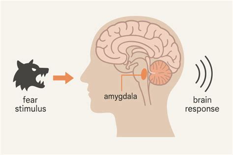 Image result for Stimulus Control Transfer ABA Example