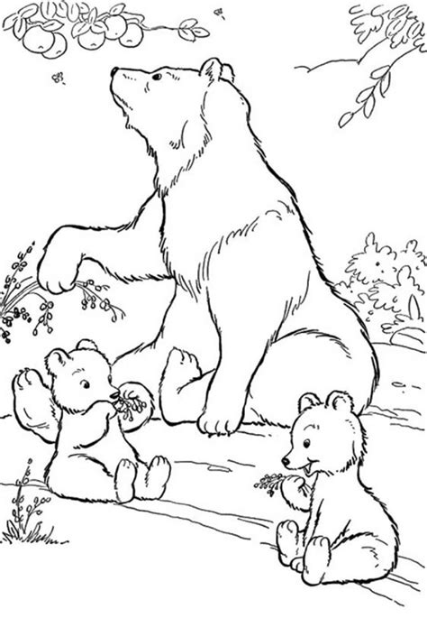 Bears coloring pages - ColoringLib