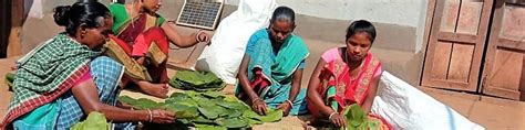 Equitable and Sustainable Livelihoods for Tribal Communities - Give ...
