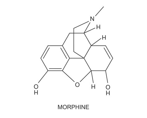 Morphine Structure