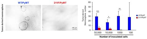 The Functions of PCNA in Tumor Stemness and Invasion