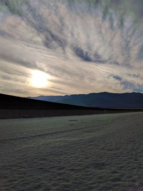 Death Valley National Park - wildlife in death valley national park