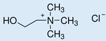 High-Performance Extraction Process of Anthocyanins from Jussara ...
