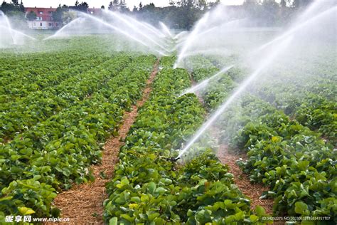 专业农田灌溉图片-农业灌溉系统正在给农田进行全面灌溉素材-高清图片-摄影照片-寻图免费打包下载