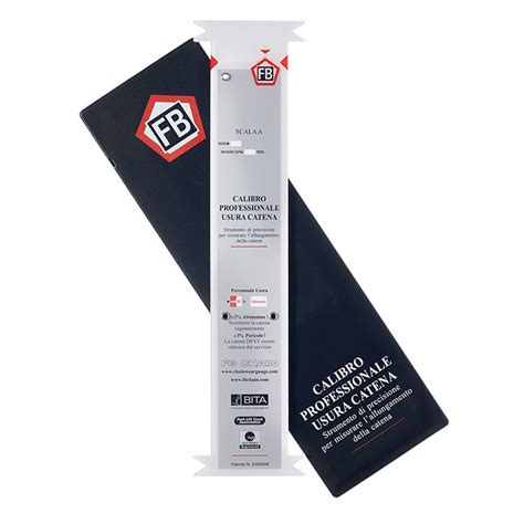 Image result for Chain Wear Scale